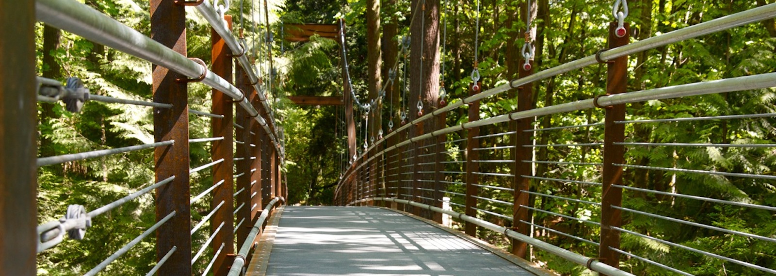 Our Bridges. Photo: Paul Sachet