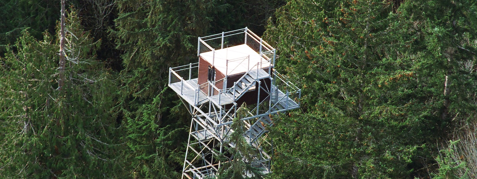 Our Special Projects. Photo: Carroll Vogel